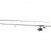 Daiwa BG4000 Reel W/ 7' Inshore Rod Combo