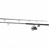 Daiwa BG5000 Reel W/ 7' Rod Combo