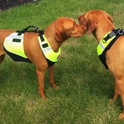 FIRST WATCH - PACIFIC QUEST INC. FirstWatch Dog Flotation Vest - Extra Small Safety