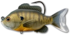 Live Target Bait Co. Live Target Bronze Bluegill Fishing Lures