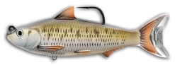 Live Target Bait Co. Live Target Common Shiner Fishing Lures
