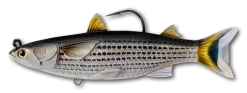 Live Target Bait Co. Live Target Mullet