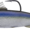 Live Target Bait Co. Live Target Spanish Sardine