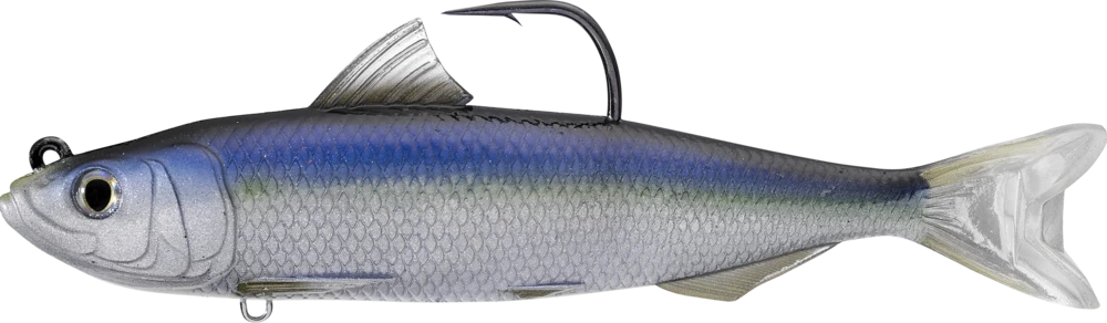 Live Target Bait Co. Live Target Spanish Sardine 3 Live Target Bait Co. Live Target Spanish Sardine