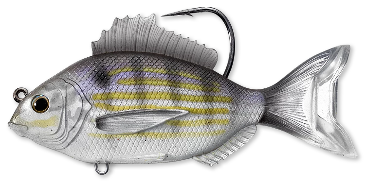 Live Target Bait Co. Live Target Pinfish Fishing Lures 3 Live Target Bait Co. Live Target Pinfish Fishing Lures