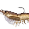Live Target Bait Co. Live Target Shrimp Fishing Lures