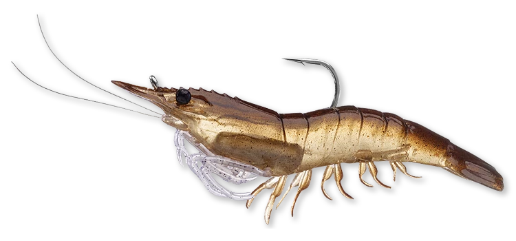 Live Target Bait Co. Live Target Shrimp Fishing Lures 3 Live Target Bait Co. Live Target Shrimp Fishing Lures