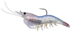 Live Target Bait Co. Fishing Lures Live Target Shrimp