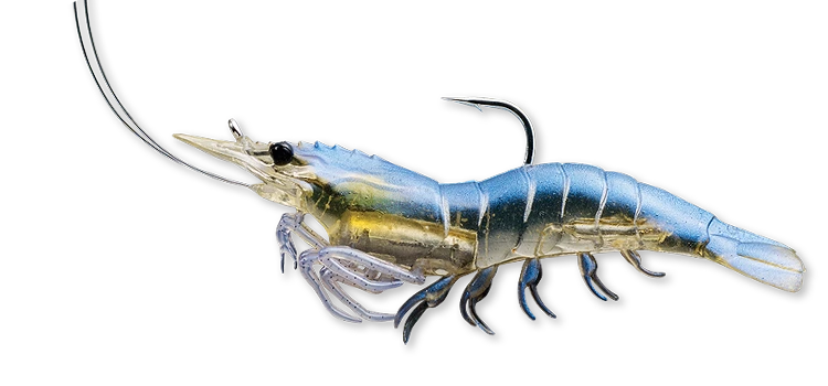 Live Target Bait Co. Fishing Lures Live Target Shrimp 3 Live Target Bait Co. Fishing Lures Live Target Shrimp