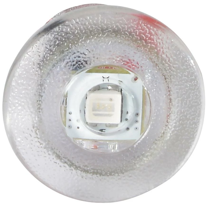 Lights LUMITEC Newt Livewell & Courtesy Light - Blue Dimming 3 Lights LUMITEC Newt Livewell & Courtesy Light - Blue Dimming