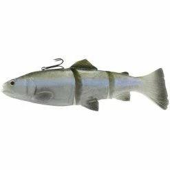 Fishing Lures SAVAGE GEAR 8" 3D Line Thru Trout Soft Bait