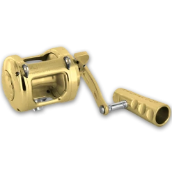 BLUE MED, INC. ALUTECNOS Albacore Veloce 12 Conventional Reel