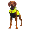 FIRST WATCH - PACIFIC QUEST INC. FirstWatch Dog Flotation Vest - Extra Large Safety