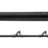 DAIWA Proteus Tuna Special Rod Fishing Rods