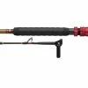 DAIWA Seaborg Dendoh Rods Fishing Rods