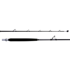 SHIMANO Terez BW High-Speed Saltwater Rods