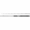 Fishing Rods SHIMANO Teramar NE Casting Rod